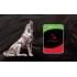 Жесткий диск для NAS Seagate IronWolf ST16000VN001 (СИГЕЙТ)