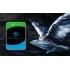 Жесткий диск SkyHawk AI Seagate ST32000VE000 (СИГЕЙТ) Жесткий диск SkyHawk AI Seagate ST32000VE000 (СИГЕЙТ)