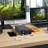Внешний накопитель LaCie 1big Dock STHS8000800 (СИГЕЙТ)