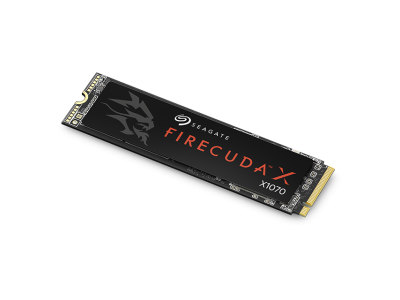 Твердотельный накопитель FireCuda X1070 Seagate ZP1000GS3A001 (СИГЕЙТ)